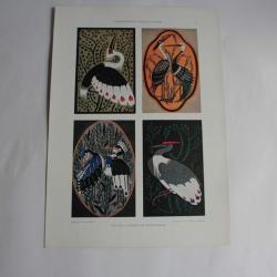 Estampe Ornementations d'oiseaux Journal décoration P. lindner W. Zschernig 1900