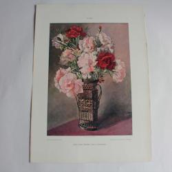 Estampe L'oeillets Journal décoration K. Petschauer 1900