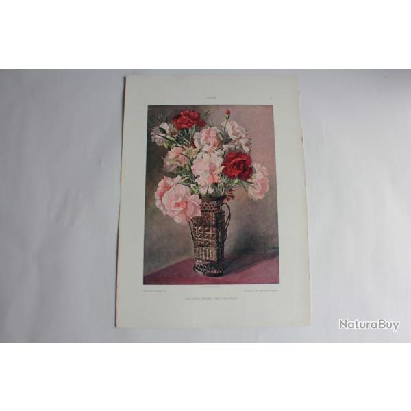 Estampe L'oeillets Journal dcoration K. Petschauer 1900