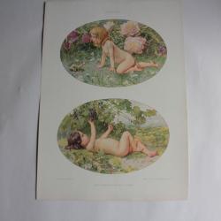 Estampe Nue d'enfants Journal décoration G. Sturm 1900