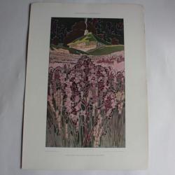 Estampe Paysage décoratif Journal décoration Franz Waldraff 1900