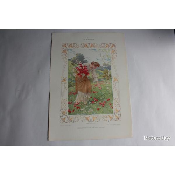 Estampe dans un champ coquelicots Journal dcoration G. Sturm 1900