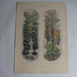 2 Estampe Paysages saisonnier Journal décoration J.B Engl 1900
