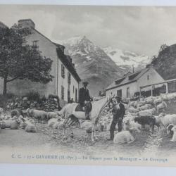 CPA Lozère Hautes-Pyrénées Gavarnie Le départ pour la montagne Moutons