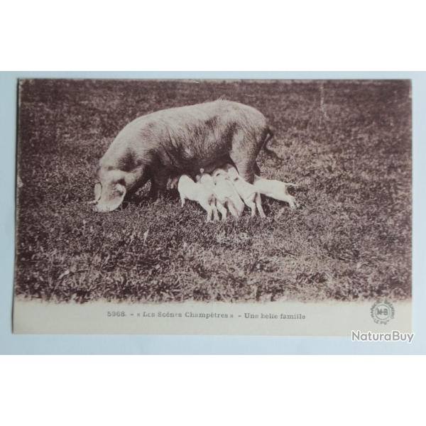 CPA Sc�nes champ�tres belle famille Cochon Truie Le Gerbier des Joncs
