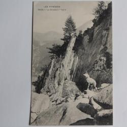 CPA Les Pyrénées La Chasse à l'Isard