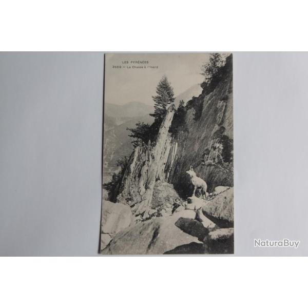 CPA Les Pyr�n�es La Chasse � l'Isard