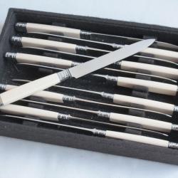 12 Couteaux à entremet Nilox