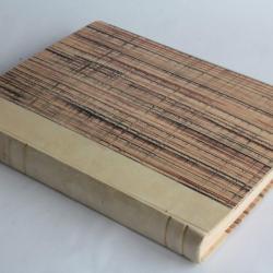 Livre Raphy Dallèves peintre Suisse Louis Buzzini 1941