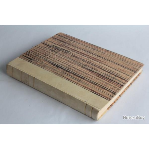 Livre Raphy Dallves peintre Suisse Louis Buzzini 1941