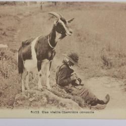 CPA Ardèche Une vieille Chevrière cévenois
