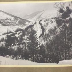Photographie guerre front des Vosges artillerie en montagne