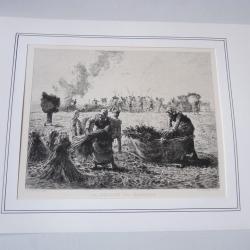 Gravure originale Récolte du Sarrazin COURTRY XIXe siècle