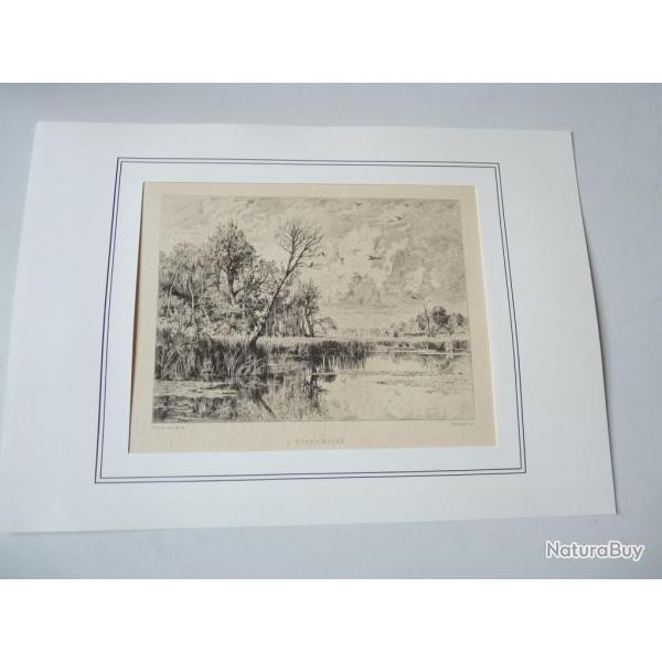 Gravure L'tang Bois Albert Ludovic Duvivier XIXe sicle