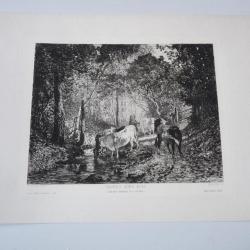 Gravure XIXe siècle  Vache