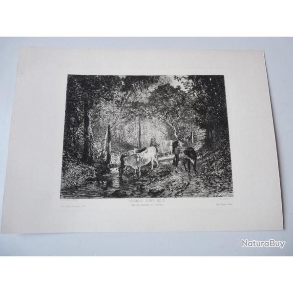Gravure XIXe sicle  Vache