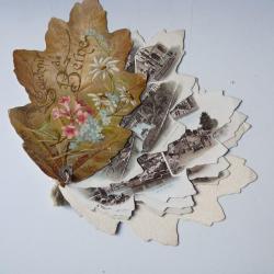 Album souvenir Berne 1894