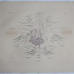 Gravure Bossuet & Corneille Jean Midolle E. Simond Strasbourg 1836