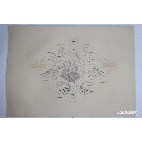 Gravure Bossuet & Corneille Jean Midolle E. Simond Strasbourg 1836