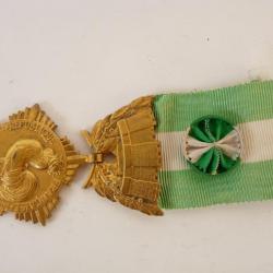 Médaille des collectivités locales 1945 argent/vermeil