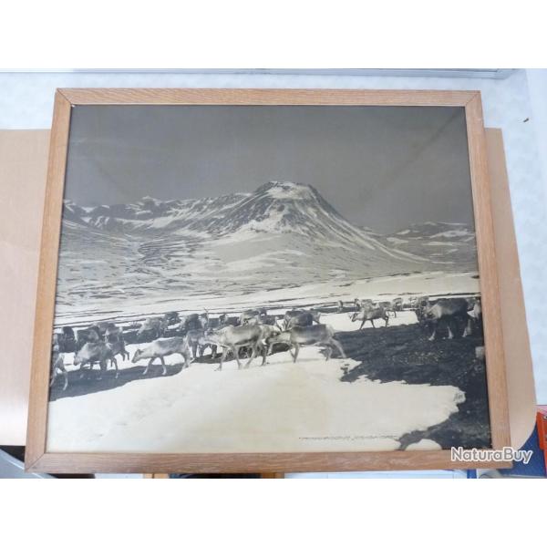 Grand photo �levage de rennes Norv�ge