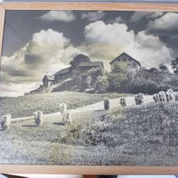 Grand photo campagne norvégien