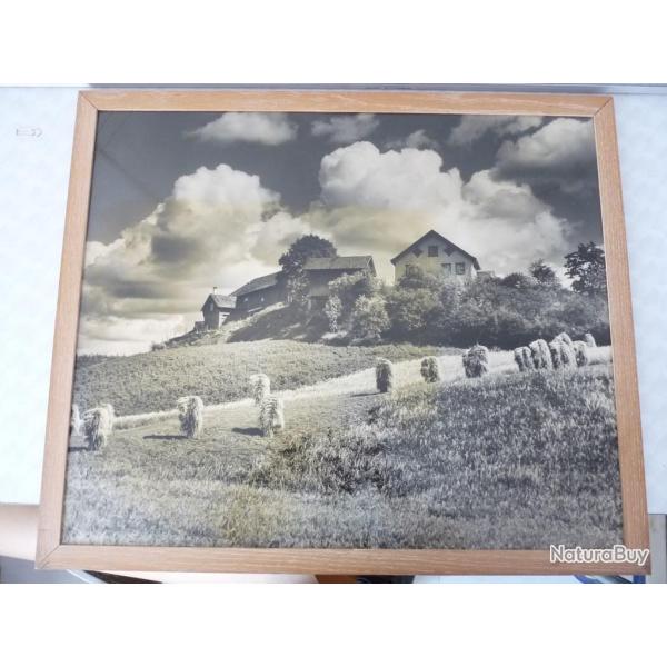 Grand photo campagne norv�gien