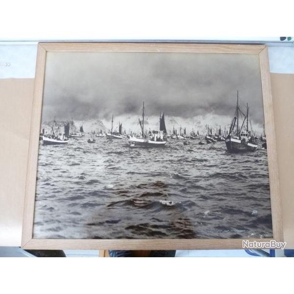 Grand photo  P�che a morue  Norv�ge