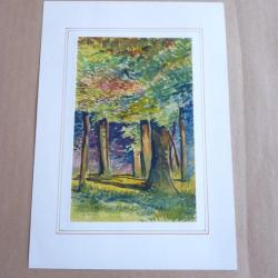 Aquarelle Forêt Possaz 1906