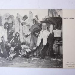 CPA US Noir Américain  Combats de coqs   cartes postales