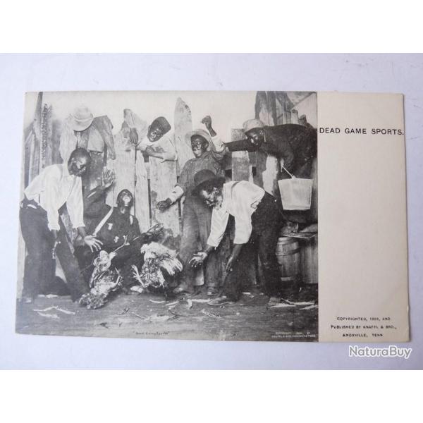 CPA US Noir Am�ricain  Combats de coqs   cartes postales