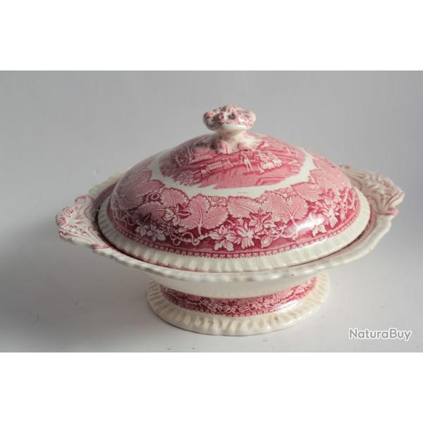 L�gumier Terre de fer MASON'S Vista pink England
