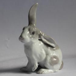 Lapin porcelaine allemande