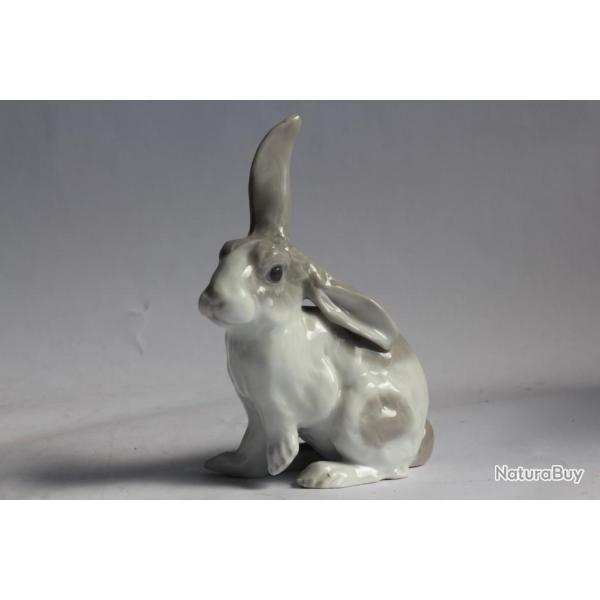 Lapin porcelaine allemande