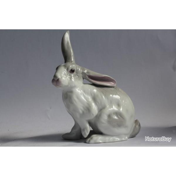 Lapin porcelaine allemande