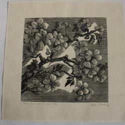 Xylographie originale Aldo Patocchi Fleurs fiori