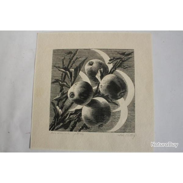 Xylographie originale Aldo Patocchi Fruits