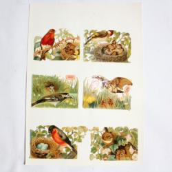 Images chromos gaufrés découpés Oiseaux 1890
