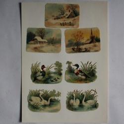 Images chromos gaufrés découpés  Cygnes Canards 1890