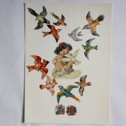 Images chromos gaufrés découpés Perroquets Oiseaux 1890