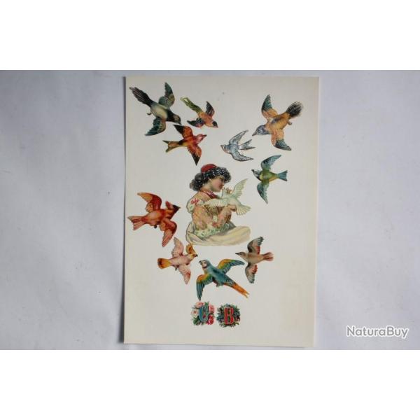 Images chromos gaufr�s d�coup�s Perroquets Oiseaux 1890