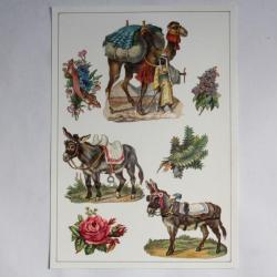 Images chromos gaufrés découpés Ânes Chameau 1890