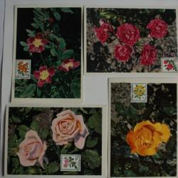 Cartes Maximum Suisse Pro Juventute 1977