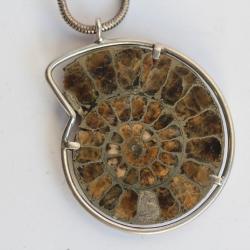 Pendentif ammonite fossile nautile argent Bijoux
