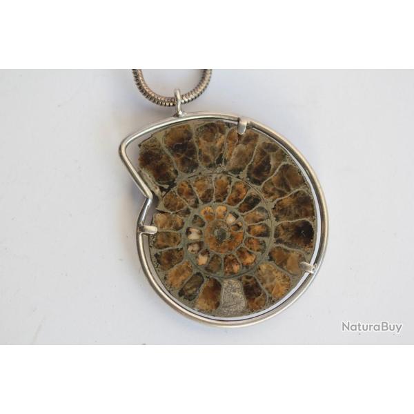 Pendentif ammonite fossile nautile argent Bijoux
