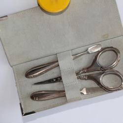 Ensemble de manucure argent