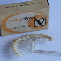 Nuancier dentaire Lumin Acryl V