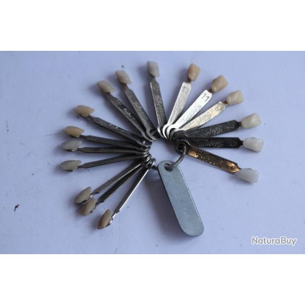 Nuancier dentaire Palapont Original Kulzer