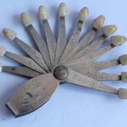 Nuancier dentaire Luminescent Plastic Teeth Major-Industrie