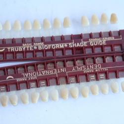 Nuancier dentaire Trubyte Bioform dentiste